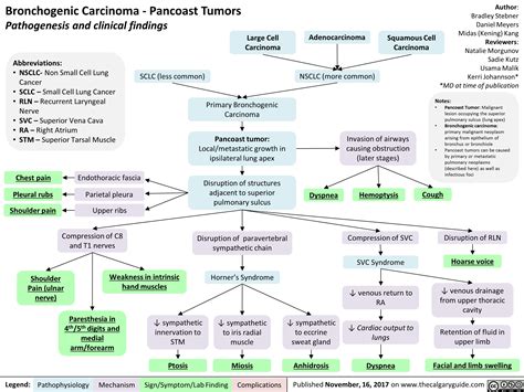 Bronchogenic Carcinoma – Pancoast Tumors Pathogenesis and Clinical Findings | Calgary Guide