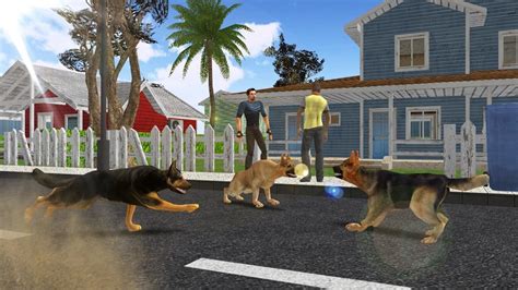 Stray dog simulator games - jordcentral