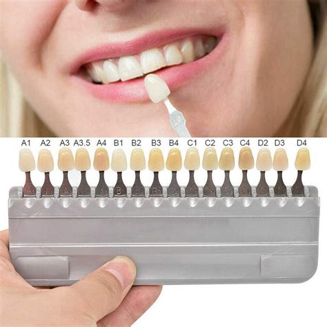 CreazyBee 1 Set 16 Colors 3D Teeth Whitening Shade Guide Porcelain - Tooth Bleaching Shade Chart ...