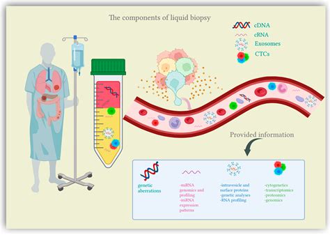 Applications of Liquid Biopsy in Colorectal Cancer Screening | Encyclopedia MDPI