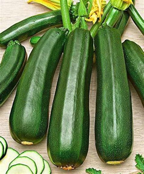 VibeX ® XLR-604 Summer squash - Chappan Kaddu Seeds Seed Price in India ...