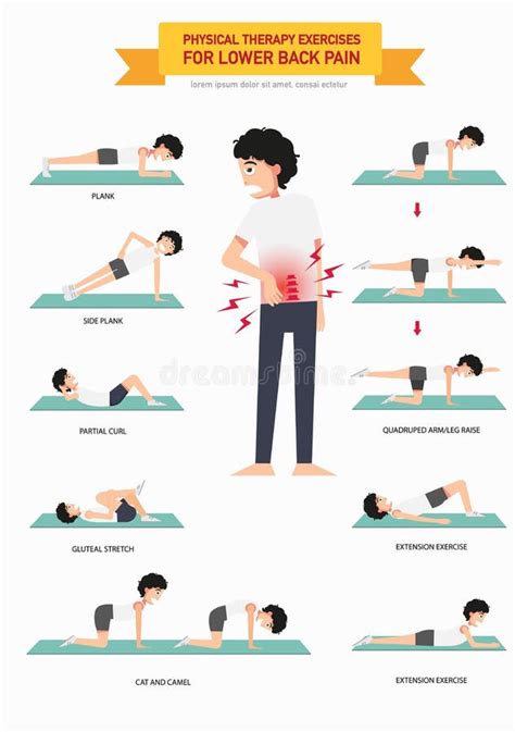 Physical Therapy Exercises for Lower Back Pain Infographic Stock Vector ...