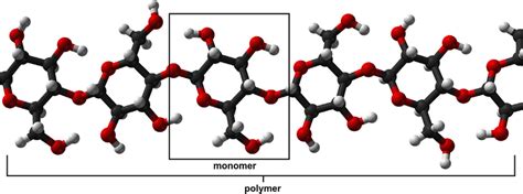 Plastic Polymer Structure