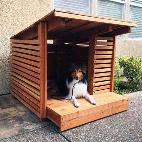 Top 50 Best Cool Dog Houses - Pads For Man's Best Friend