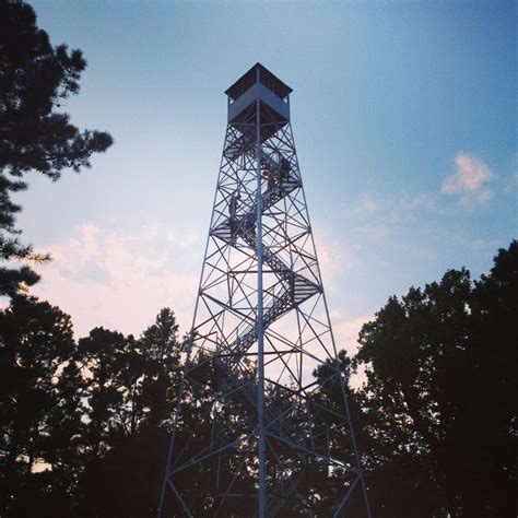 View from the top: Hickory Ridge Fire Tower