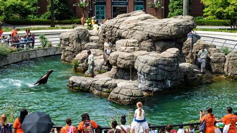 Prospect Park Zoo - tickets, map, discount, animals to see