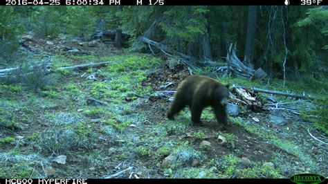 Wildlife in the Cascade-Siskiyou National Monument | Flickr