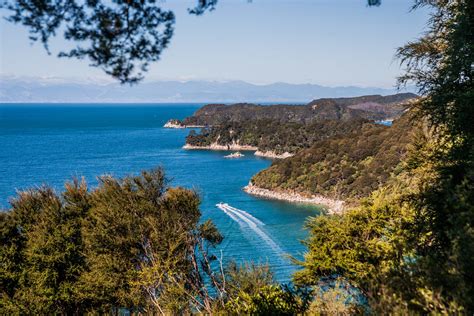 Abel Tasman National Park and a celebration of beauty in New Zealand