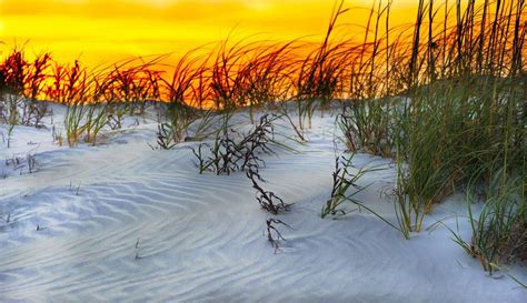 beach at sunset, Kiawah Island, South Carolina | Seabrook island, Great ...