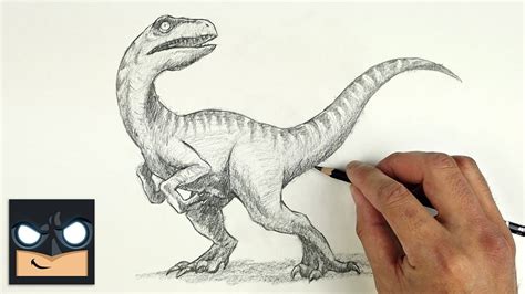 How To Draw A Velociraptor Velociraptor Step Drawing Poses Drawing ...