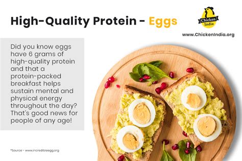 Can Eggs Make You Fat? Healthy Way of Eating Eggs - Chicken India