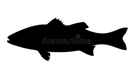 Fish Silhouette Clipart