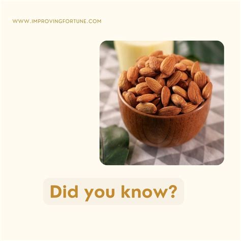 Fun Facts About Almond Nuts And It’s Benefits - Improving Fortune