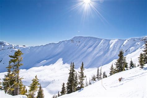 Ultimate Guide To Kicking Horse Mountain Resort – Snowboard Traveler