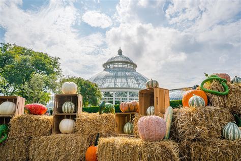 Enjoy Fall’s Spectacle at The New York Botanical Garden - SkoutTravel