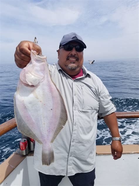 Redondo Beach Sportfishing Fish Counts