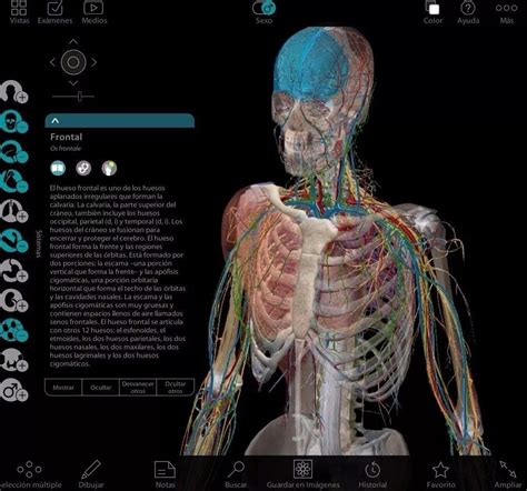 Anatomy 3d Atlas