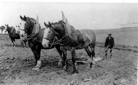 farming in the 1800s - Google Search | Horses, Horse photos, Old farm