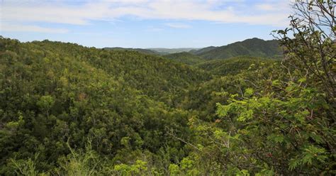 Sabana Grande | West Region | Discover Puerto Rico