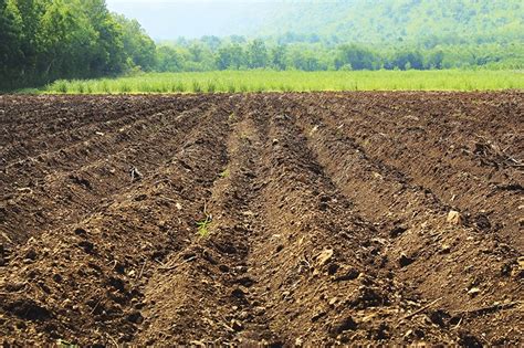 The Soil Solution: 10 Keys | EcoFarming Daily