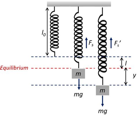 Vertical Spring-Mass System. | Download Scientific Diagram