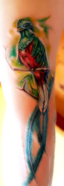 Quetzal (Guatemalan bird) tattoo by MarinaAlex on DeviantArt