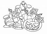 Cute Halloween Coloring Sheets  Free Printable Pages sketch template