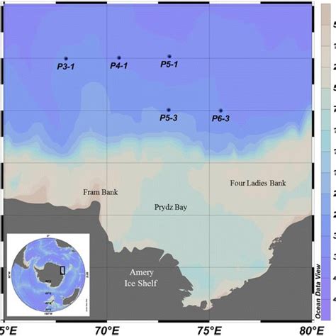 Copepod feeding strategies in the epipelagic to bathypelagic zone of Prydz Bay, Antarctica: an ...