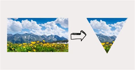 How to Mask an Image to a Shape in Illustrator: A Step-by-Step Guide - Retouching Labs