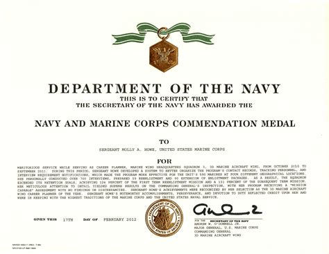 Shameless Self-Promotion: Navy and Marine Corps Commendation Medal ...