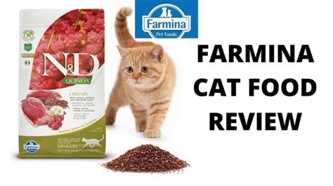 Farmina Matisse: The Best Cat Food? (Updated 2024) By Petfather