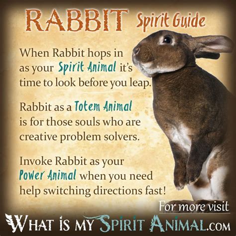 Rabbit Symbolism & Meaning | Spirit, Totem & Power Animal | Animal totem spirit guides, Power ...