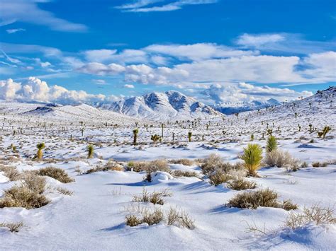 Panamint Springs, Panamint Valley, CA