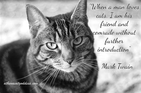 Athena Cat Goddess Wise Kitty: #WednesdayWisdom: Mark Twain Cat Quote