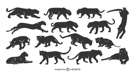 Panther Silhouette Collection Vector Download