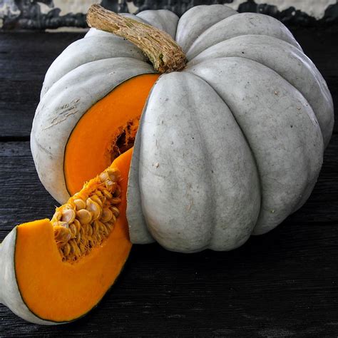 Organic Jarrahdale Pumpkin Seeds - 1/4 LB Bulk ~450 Seeds - Organic ...