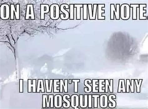 35 Hilarious Texas Winter Memes That Perfectly Capture Cold Weather ...