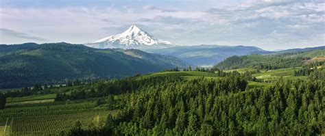 18 BREATHTAKING HOOD RIVER Wineries Guaranteed to Impress You