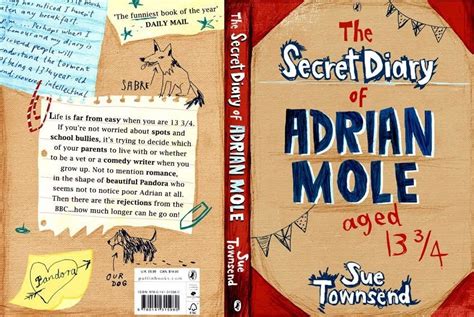 Adrian Mole book cover mock-up by Christiane Engel