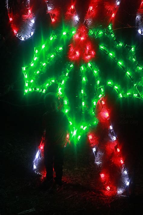 Zoo Lights at Jacksonville Zoo 2016