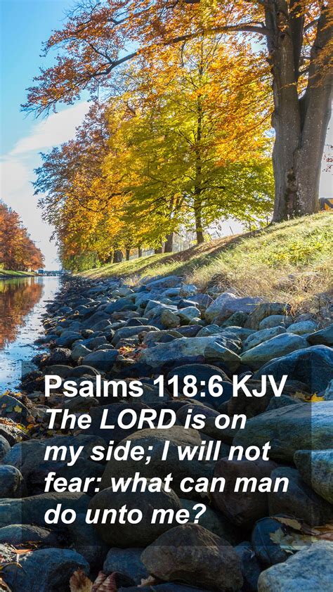 Psalms 118:6 KJV Mobile Phone Wallpaper - The LORD is on my side; I will not fear: what can