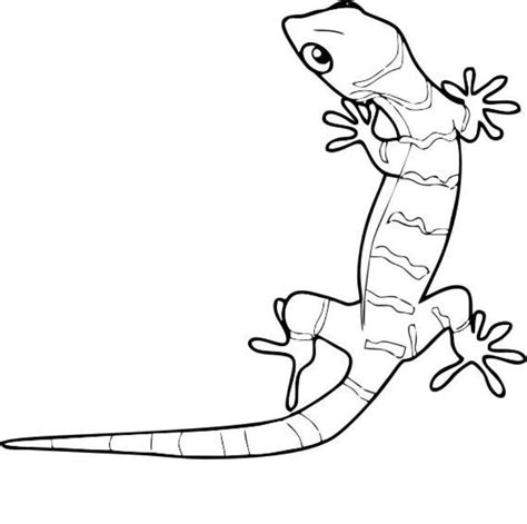 74+ reptiles lizards gecko lizard coloring pages - GloriaAiman