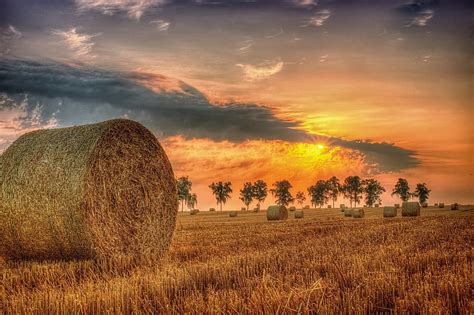 1920x1080px | free download | HD wallpaper: field, summer, sunset, hay ...