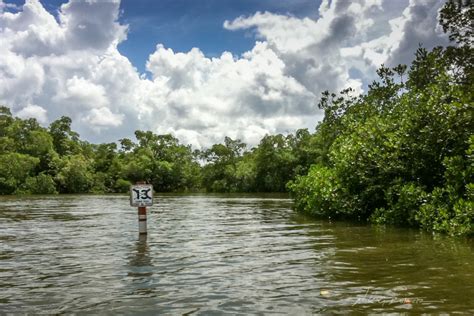 Kayaking Florida – Rookery Bay, Naples (Round 2) | Nick Botner