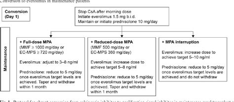 Figure 1 from Conversion to everolimus in maintenance patients--current clinical strategies ...