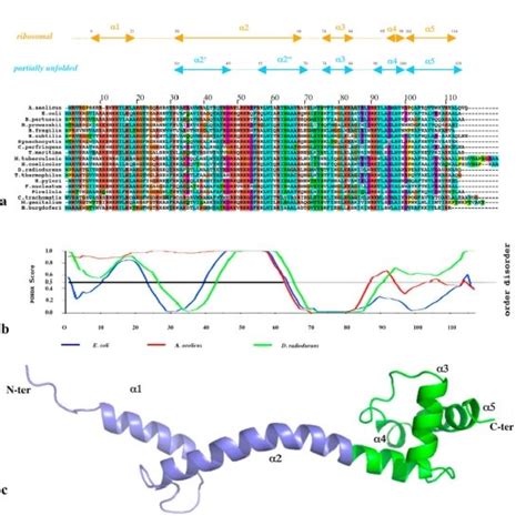 Crystal structure of unbound L20 protein. Stereoview of the... | Download Scientific Diagram