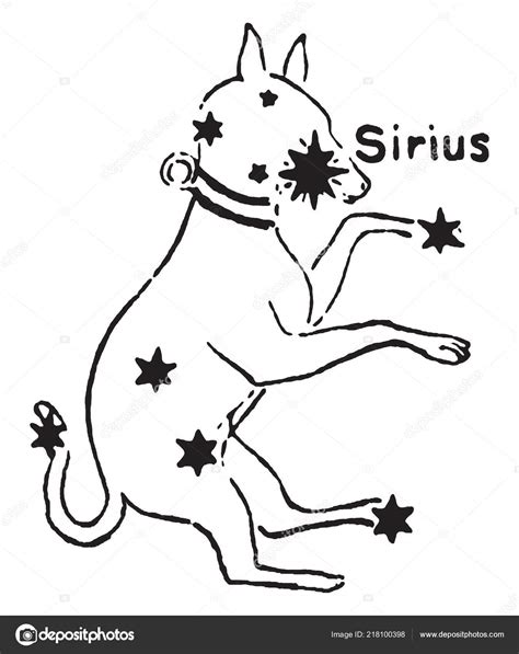 Sirius Dog Star Brightest Star Group Stars Named Canis Major Stock ...