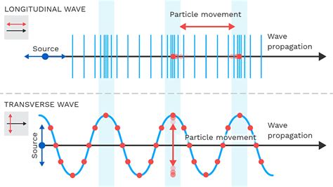 Longitudinal and Transverse - Labster