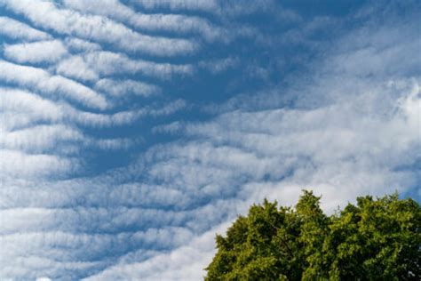 What Are Altostratus Clouds and How Do They Form?