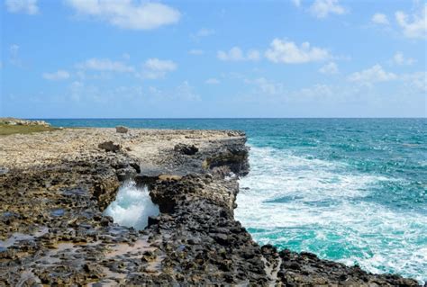 Devil's Bridge in Antigua - Everything You Need to Know to Visit!